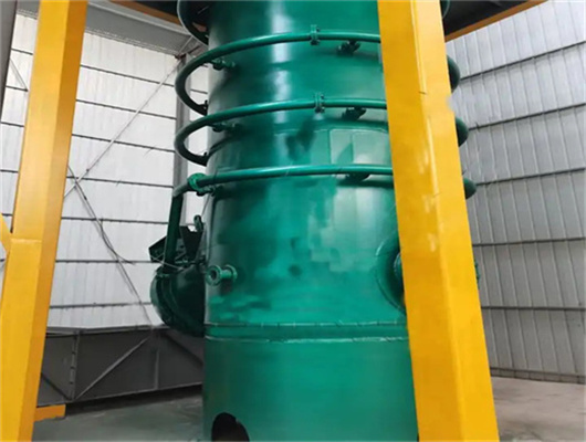 Extracteur d'huile de tournesol avec équipe d'ingénieurs au Togo